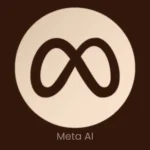 best digital marketing analyst in calicut used meta tools