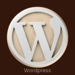 best digital marketing analyst in calicut used wordpress tool